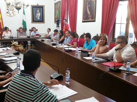 Un momentto de la celebración de la sesión extraordinaria celebrada ayer miércoles. (Foto: Carmelo de Lara9