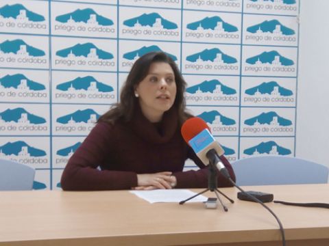 María del Carmen Pacheco, presidenta del Área de Bienestar Social. (Foto: R. Cobo)