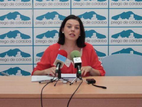 María del Carmen Pacheco, presidenta del Área de Bienestar Social. (Foto: R. Cobo)