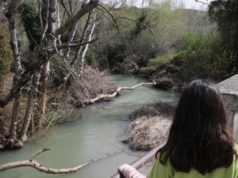 Aspecto que actualmente presenta el río Zagrilla. (Foto: R. Cobo)