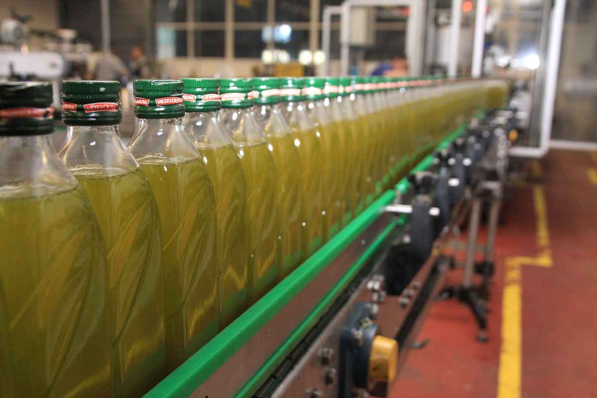 Proceso de envasado en Almazara de Muela.
