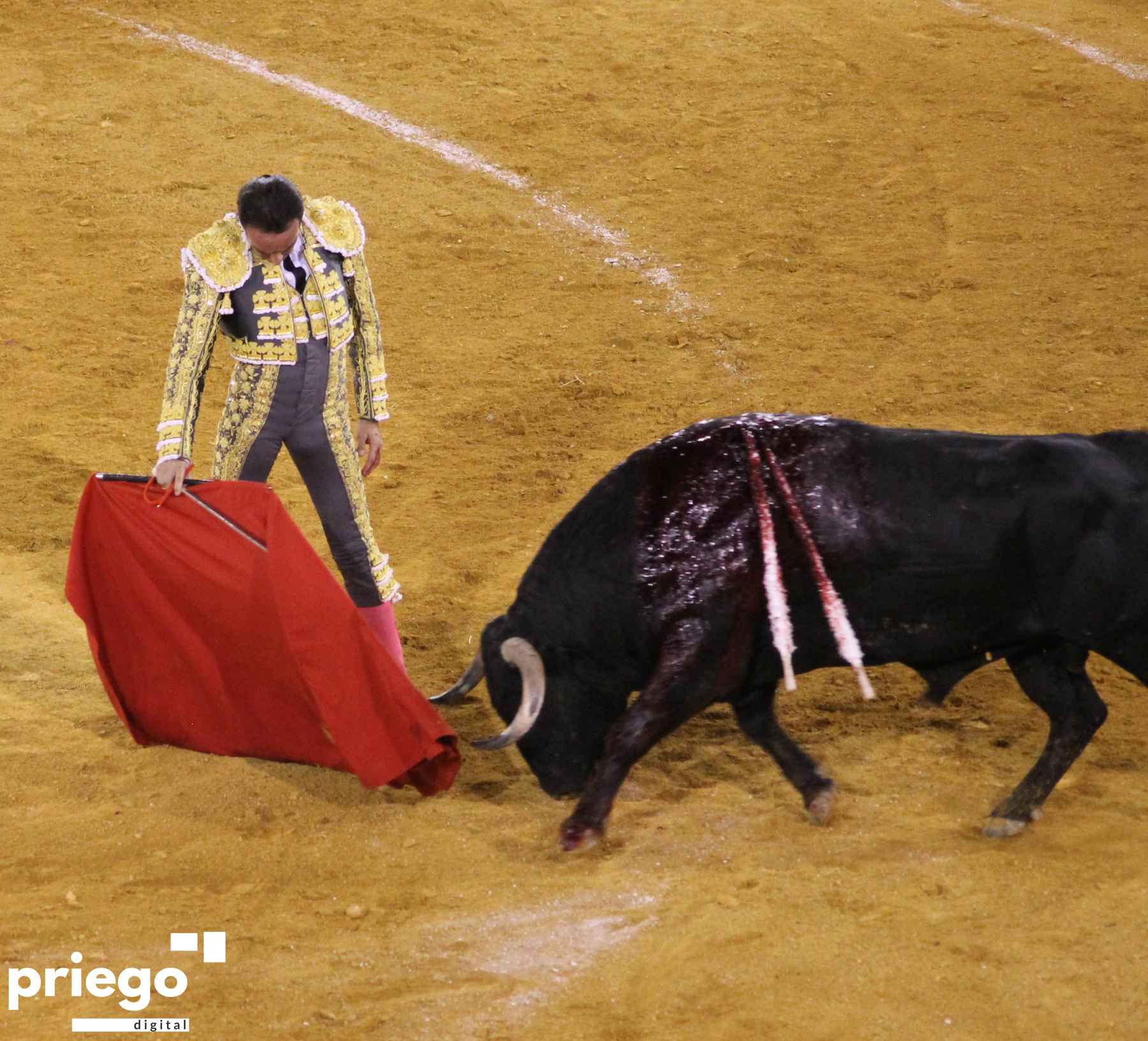 Derechazo de Ponce al primero de su lote.