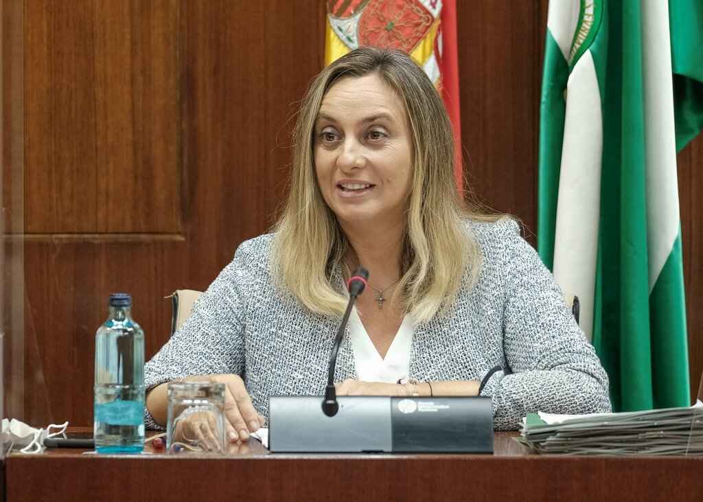 Marifrán Carazo, consejera de Fomento, Infraestructuras y Ordenación del Territorio.