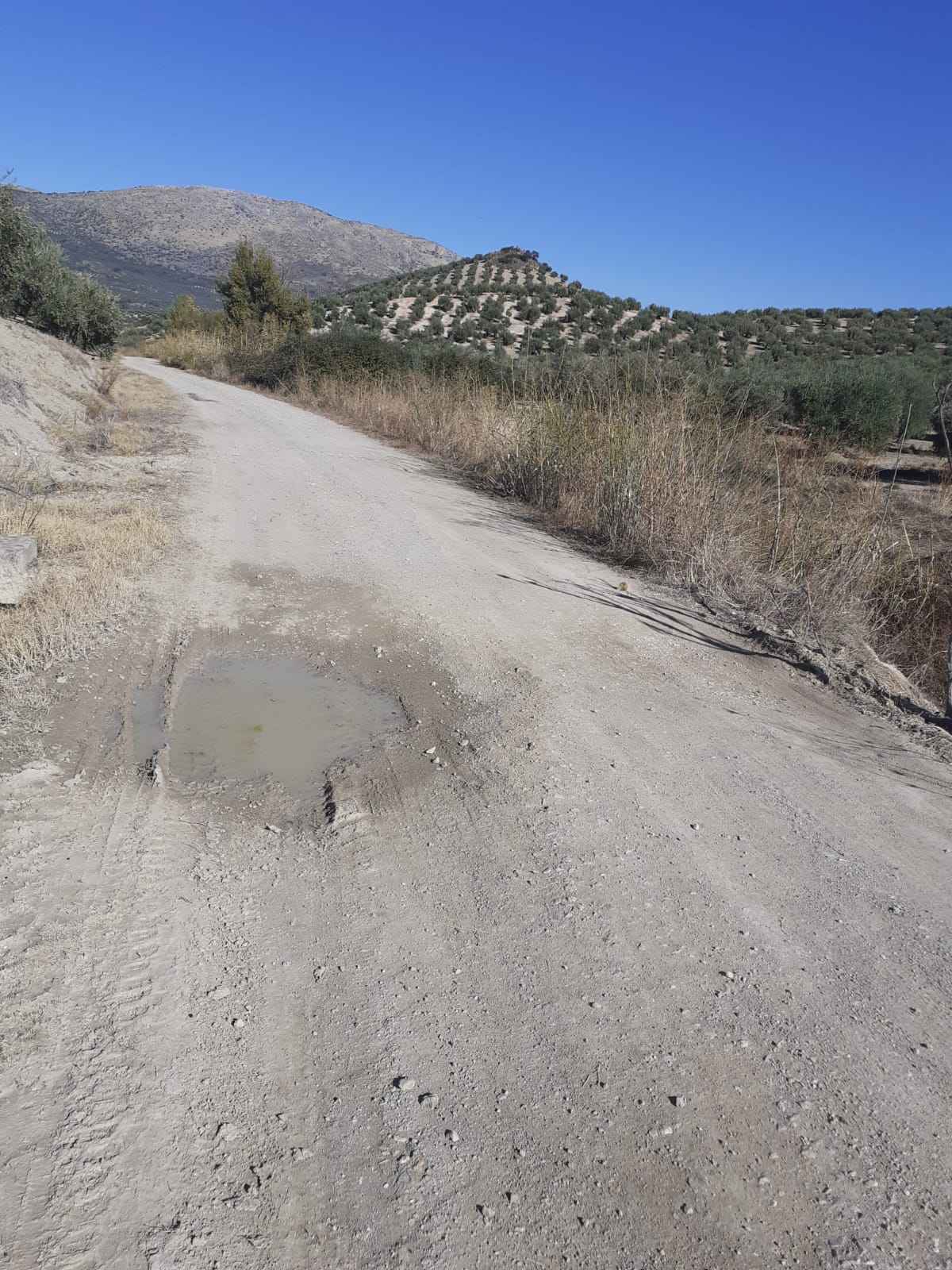 Aspecto que presenta el camino.
