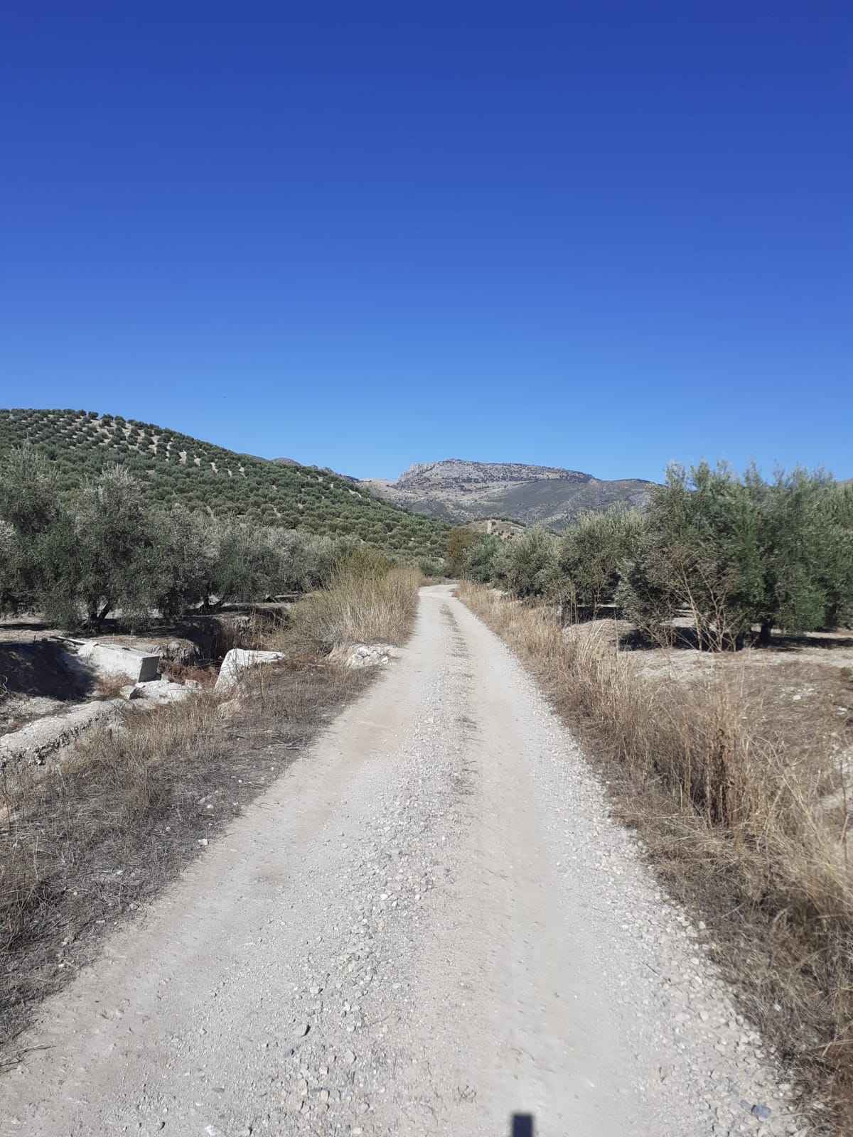 Aspecto que presenta el camino.