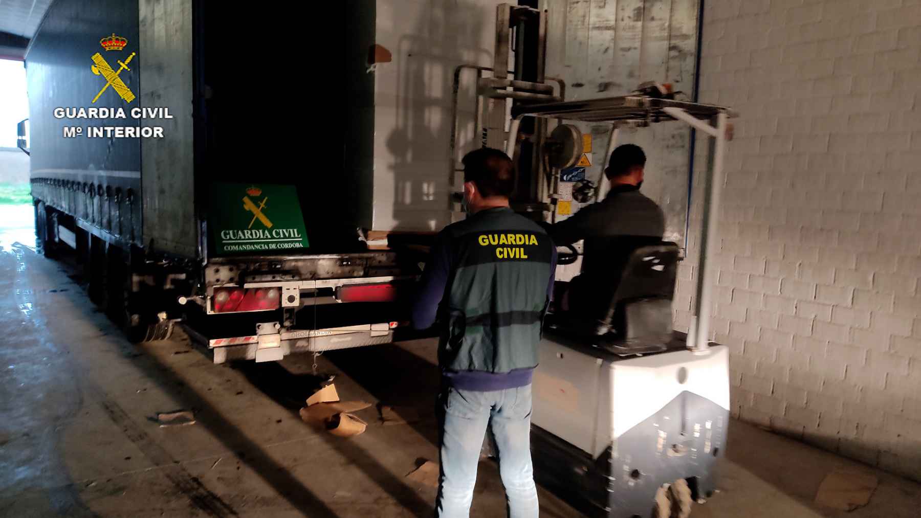 Imagen de la intervención.
