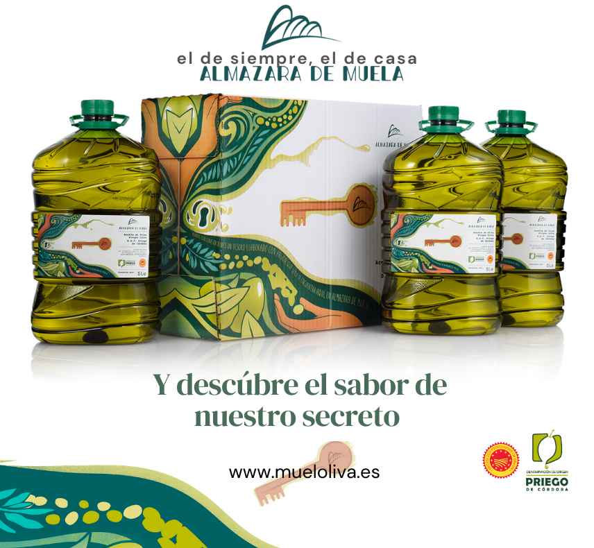 Envase y presentación de la nueva marca.