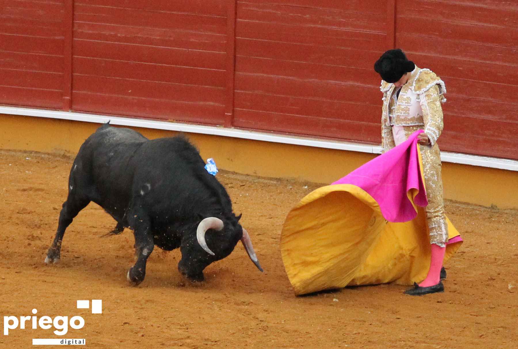 Recibo de González-Écija al sexto de la tarde.