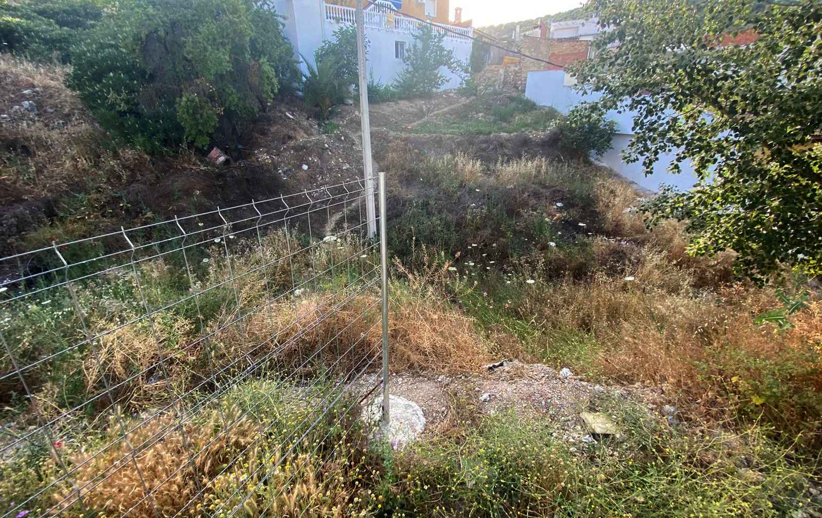 Estado de uno de los solares para los que se solicita su limpieza.