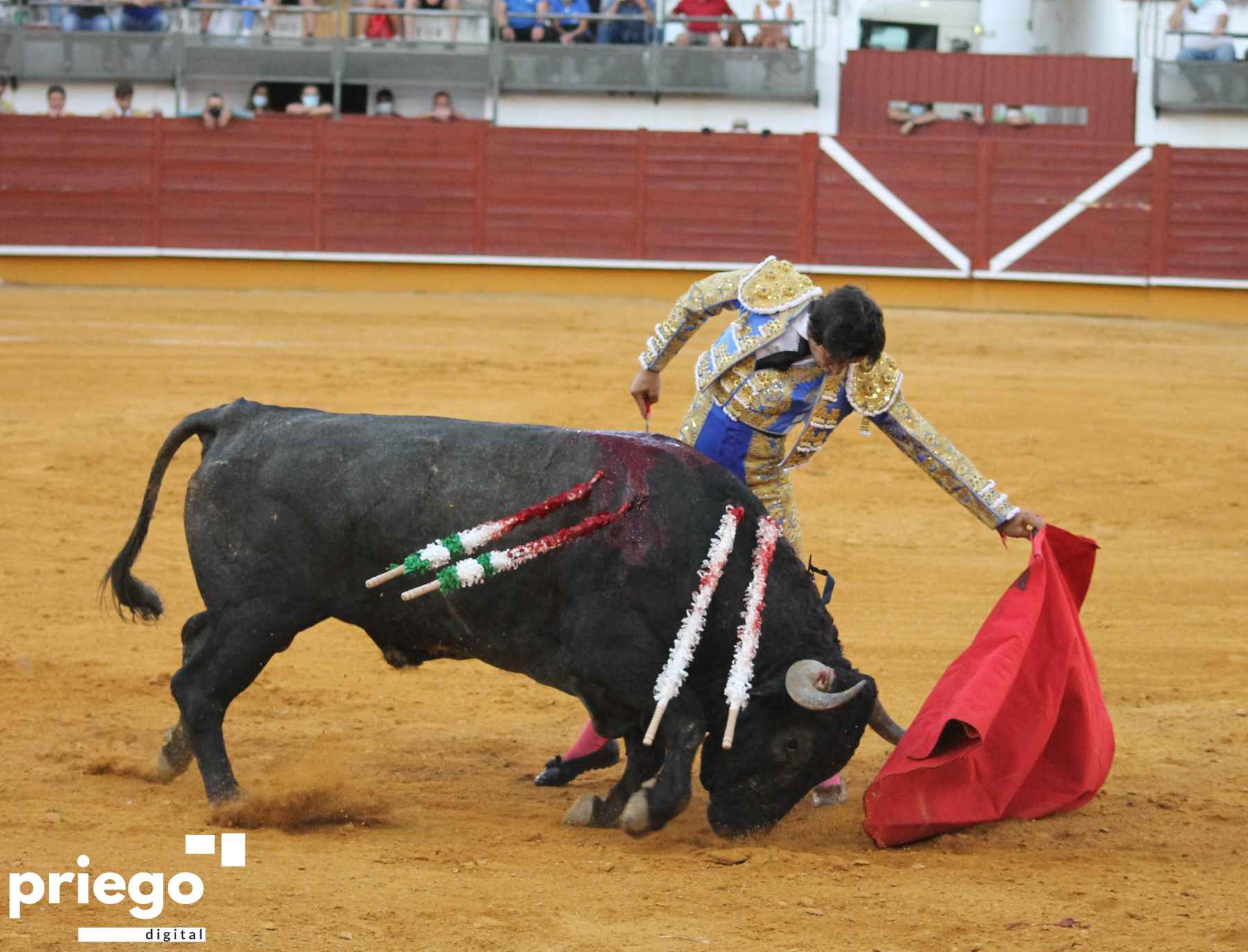 Natural de Curro Díaz al primero de su lote.