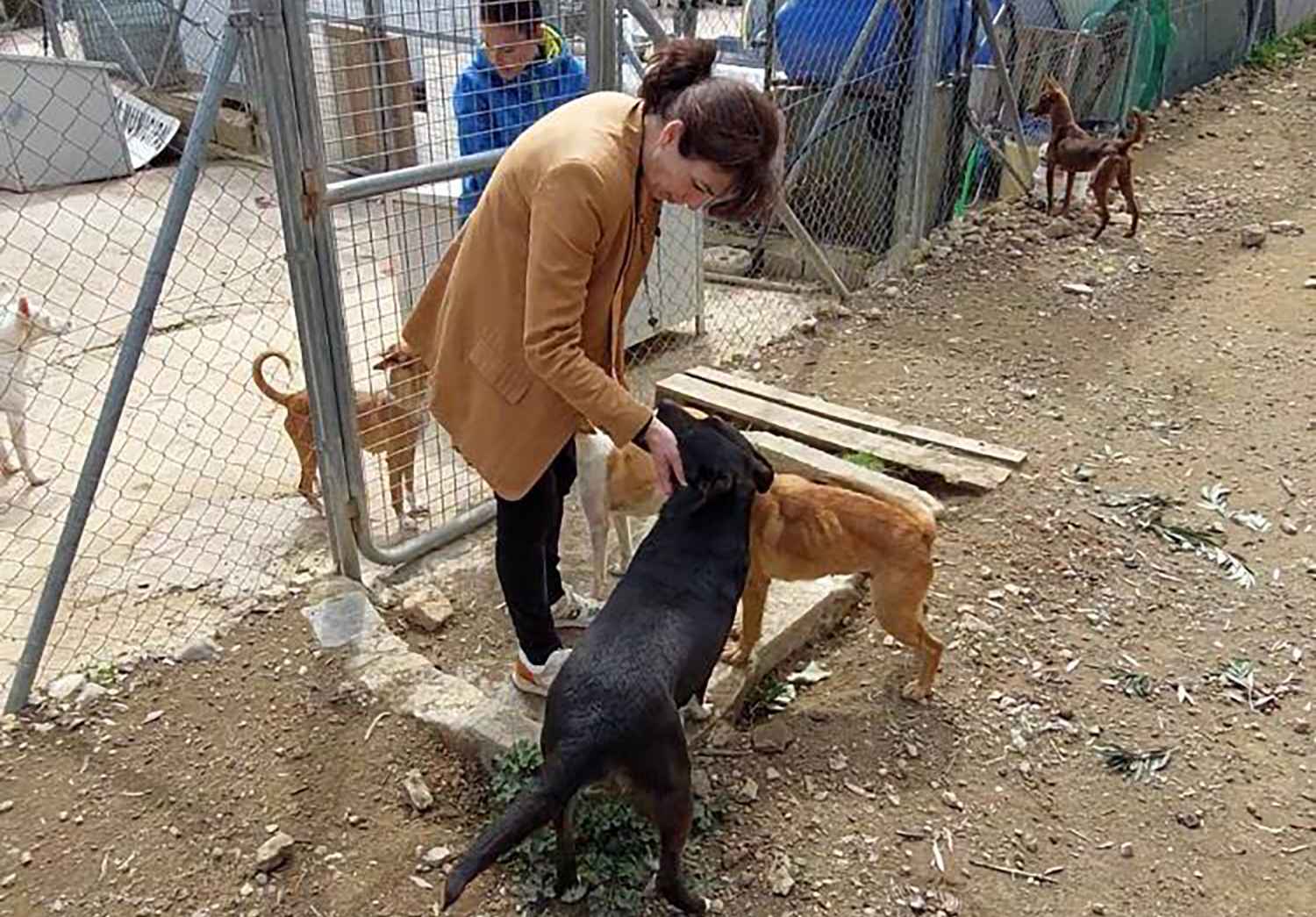 ...