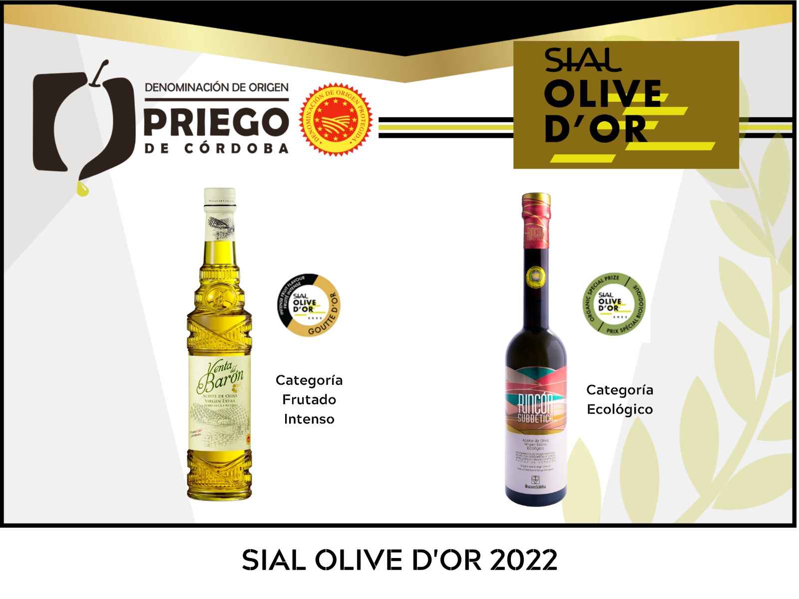 AOVE´S galardonados en Canadá.