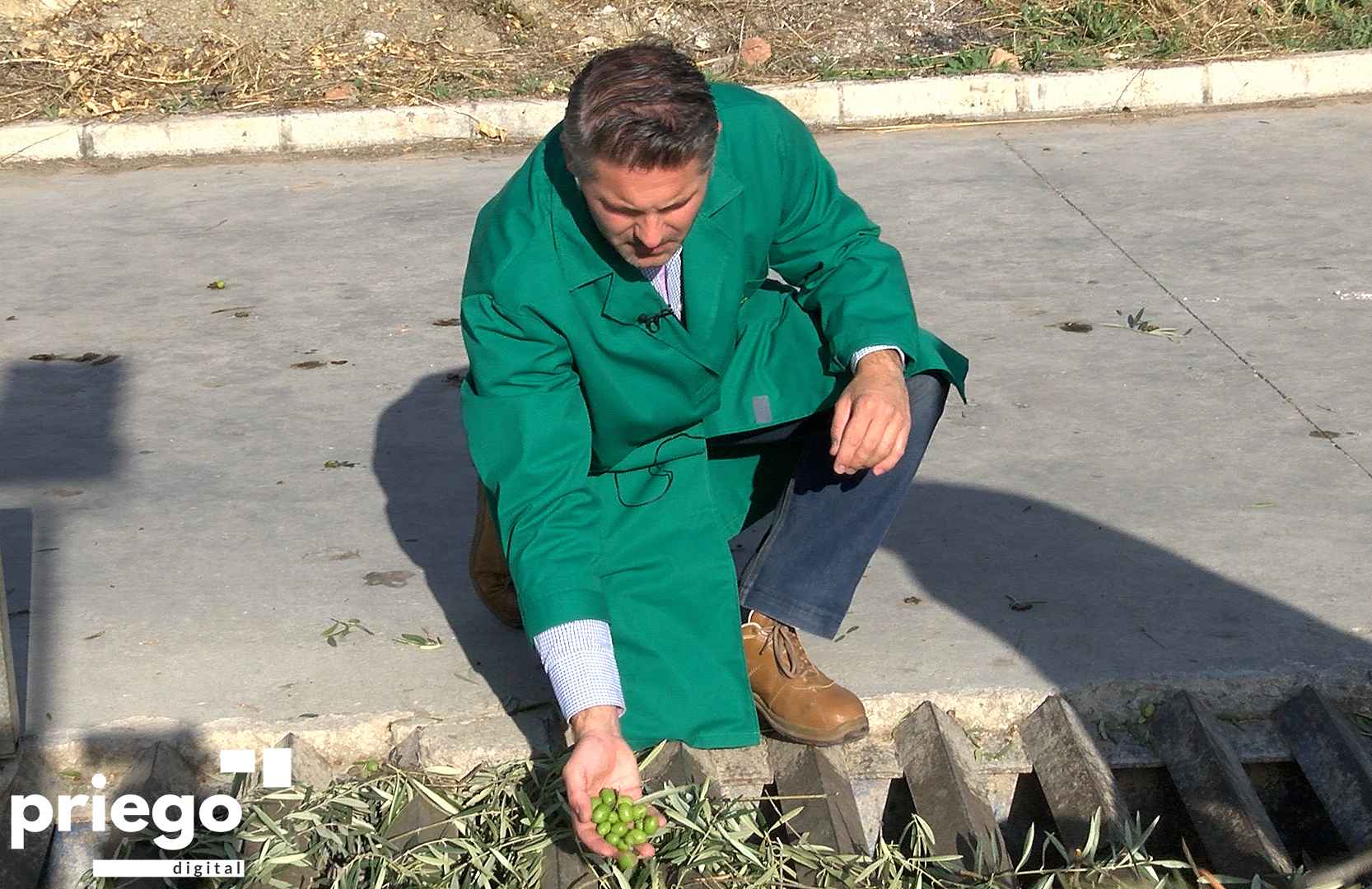 Personal técnico de la DOP durante el proceso de control de calidad en una almazara.