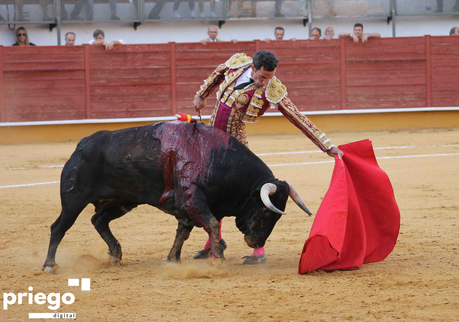 Natural de David de Miranda el primero de su lote, ayer en Priego.