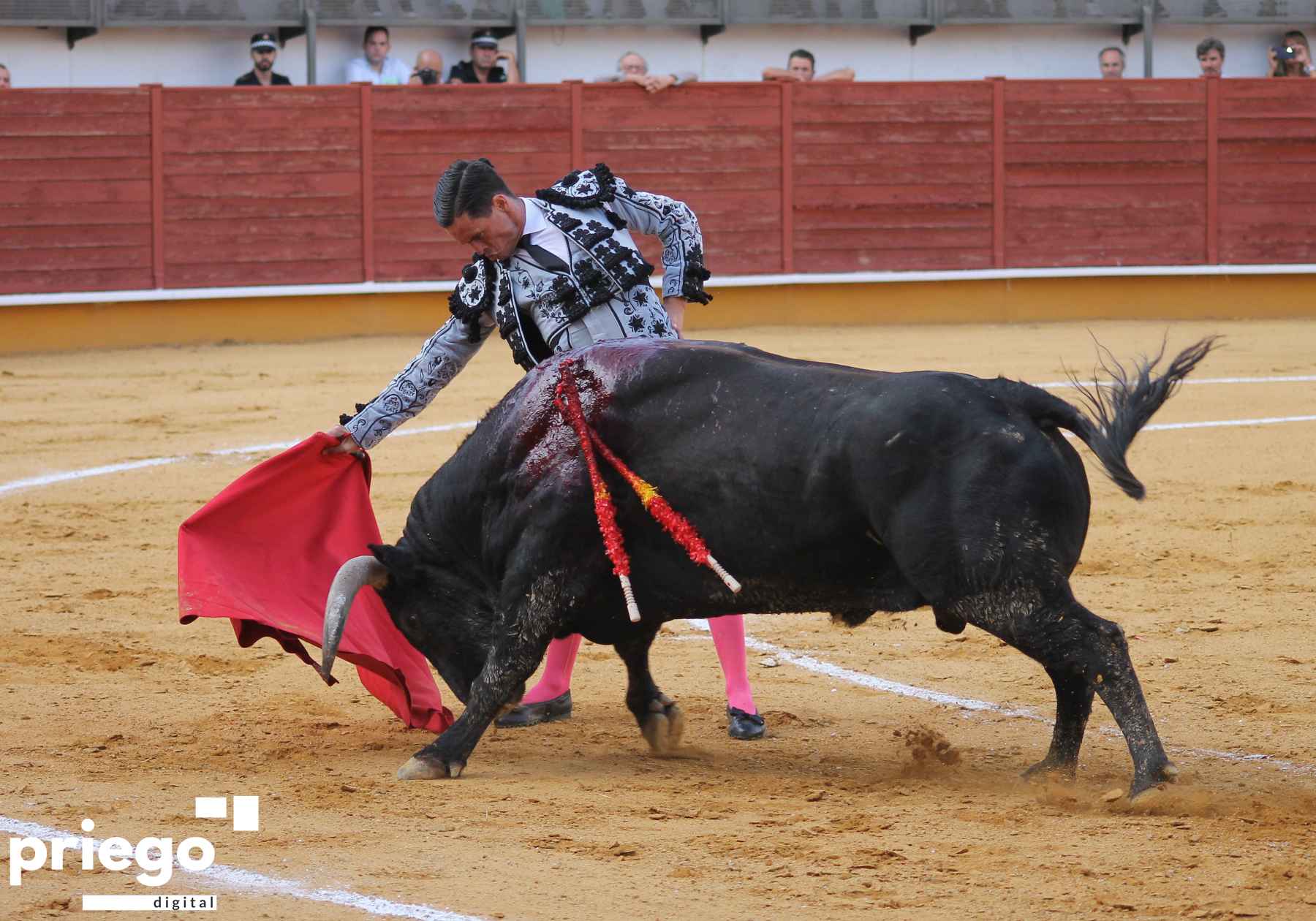 Derechazo de David Galván al que abría plaza.