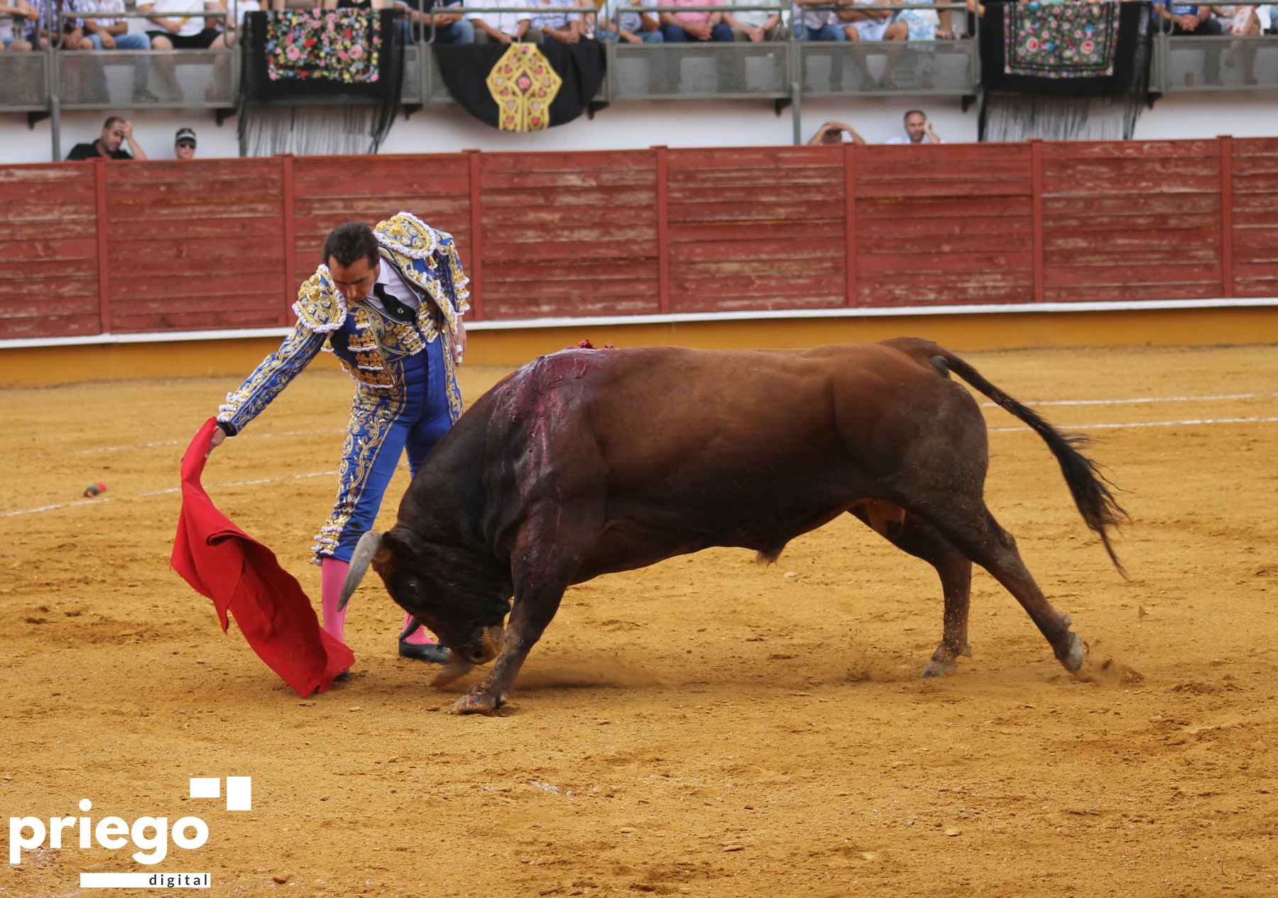Derechazo de El Fandi al que abría plaza.