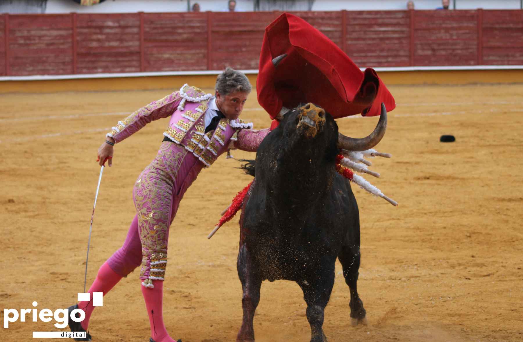 Pase de pecho de Escribano al primero de su lote.