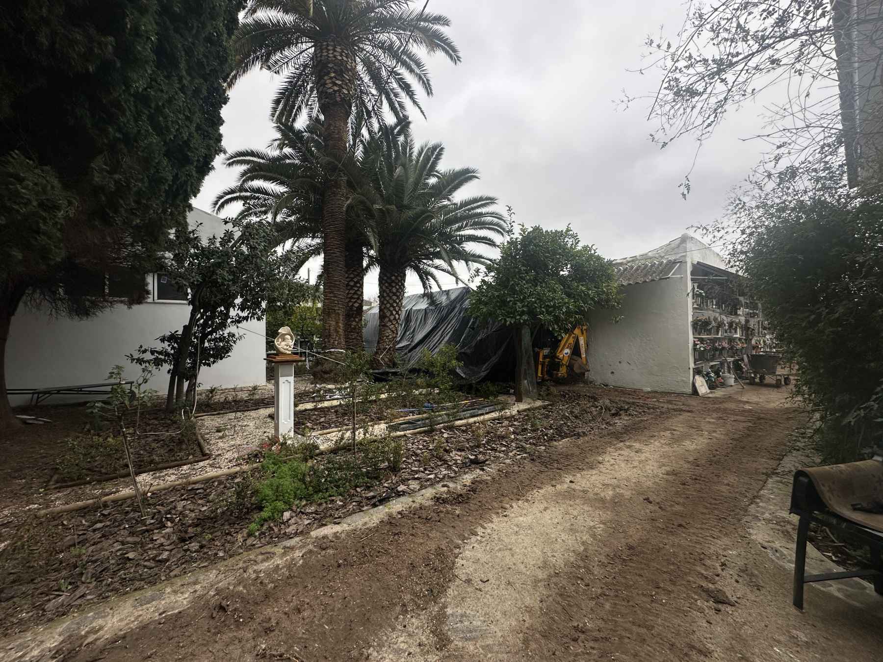 Imagen de los nichos afectados.