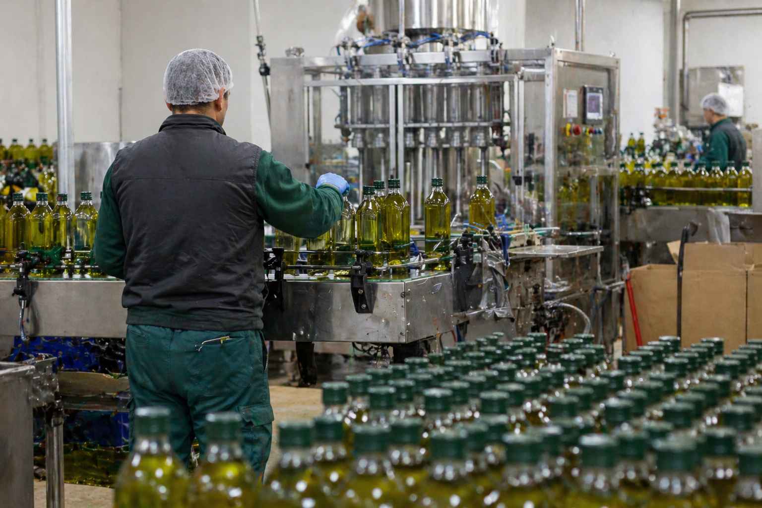 Envasadora de AOVE en una almazara.