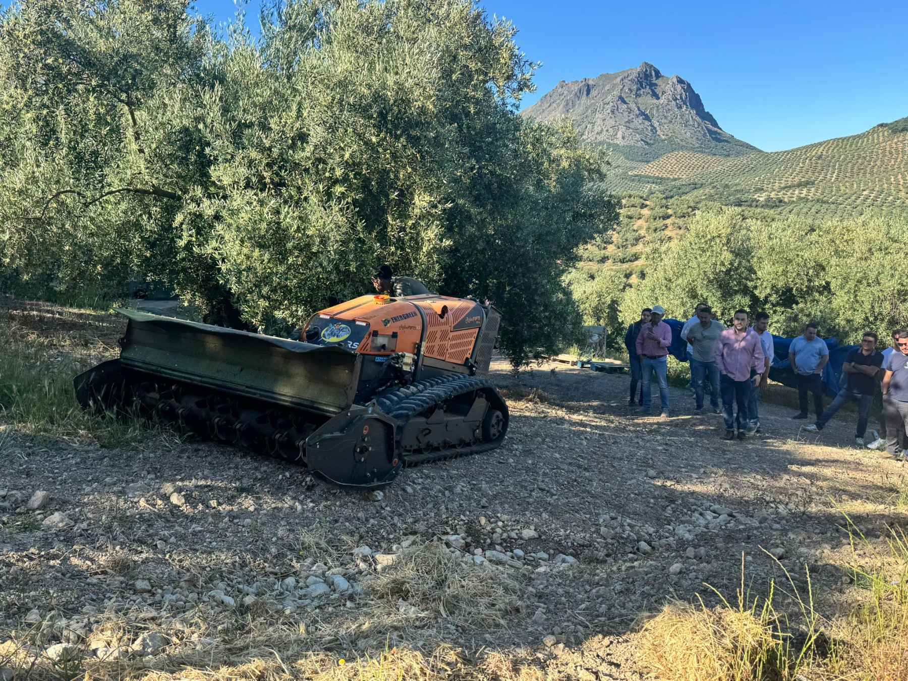 Imagen de la jornada técnica en una explotación olivarera.