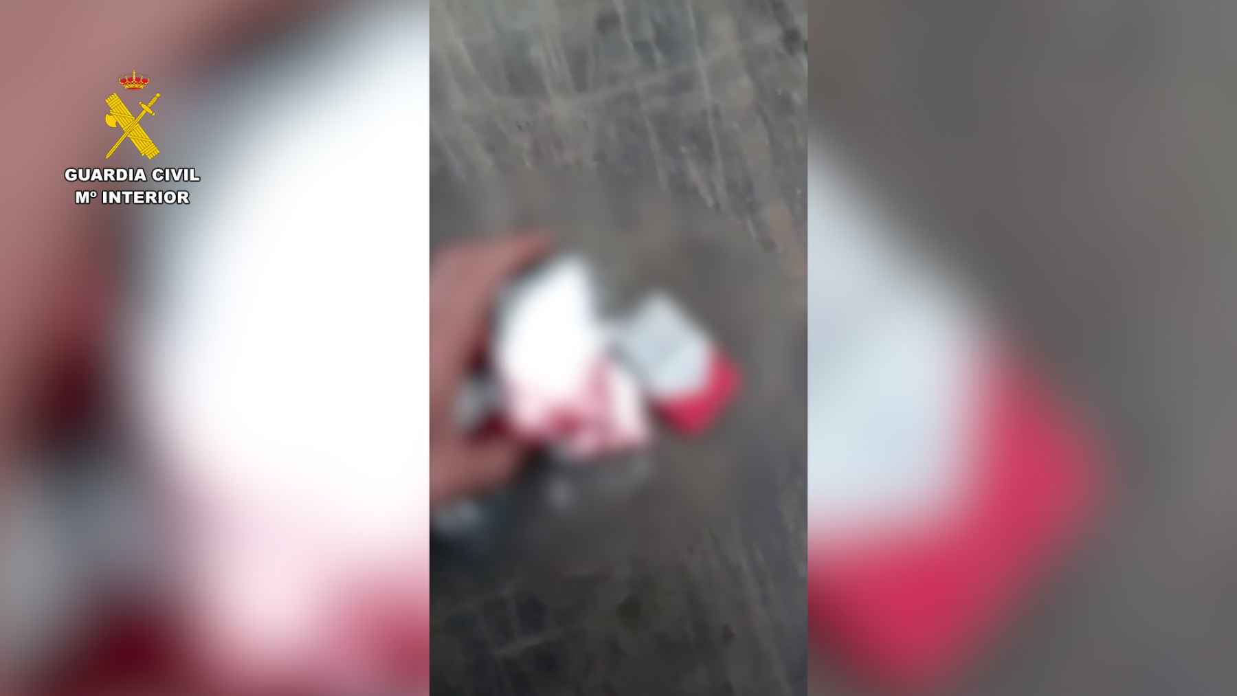 Desmantelada una organización criminal que contaba con una fábrica ilegal de tabaco en Lucena