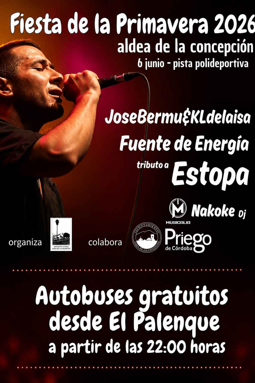 Cartel del concierto.