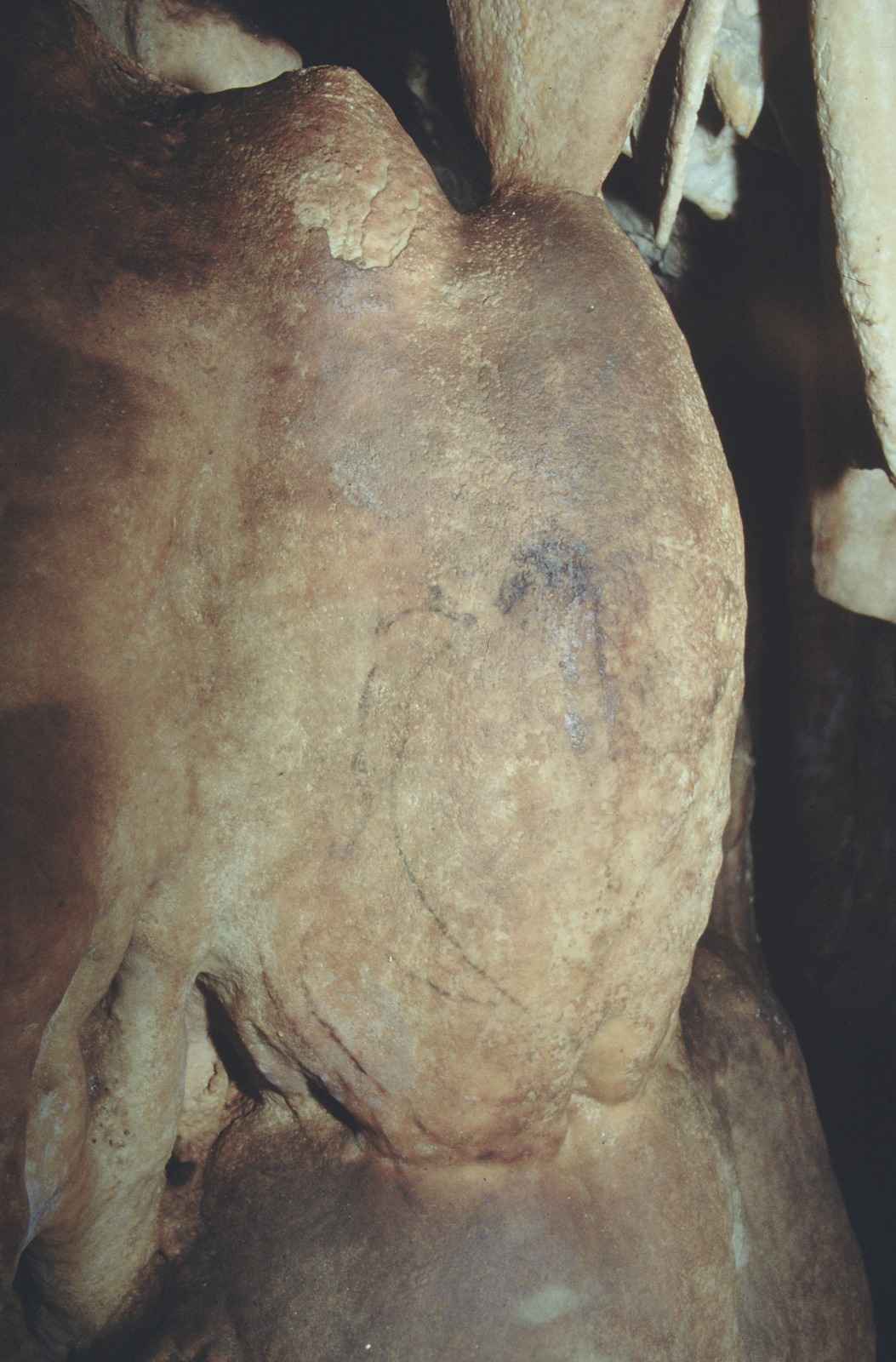 Pinturas halladas en la cueva.