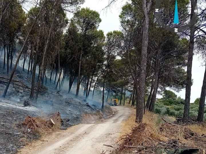 Imagen de la zona afectada.