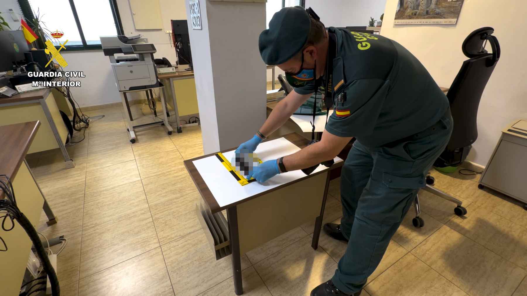 Un agente del SEPRONA, durante la investigación.
