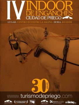 Cartel del IV Indoor de Enganches "Ciudad de Priego". (Foto: Cedida)