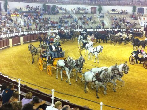 Imagen de algunos de los carruajes participantes. (Foto: Cedida)