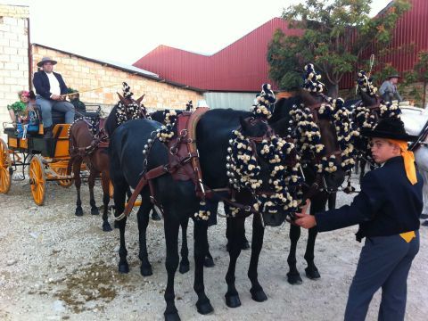 Manuel Cano antes de iniciar la prueba en Lucena. (Foto: Cedida)