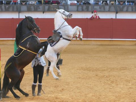 Imagen de uno de los números de Andalucía Sueña. (Foto: Carmen C.G.)