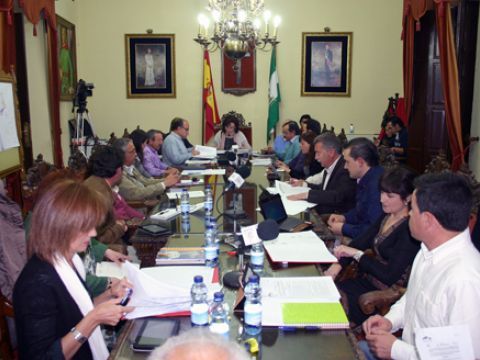 Inicio de la sesión plenaria de carácter ordinario celebrada el pasado viernes. (Foto: R. Cobo)