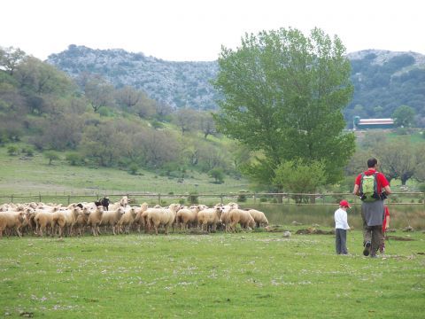 Vista de La Nava de Cabra. (Foto: J. Moreno)