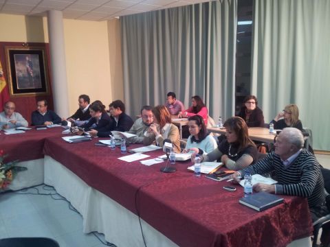 Imagen de la sesión plenaria. (Foto: Antonio J. Sobrados)
