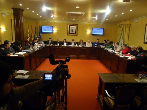 Otra imagen de la sesión plenaria. (Foto: J. Moreno)