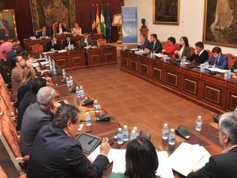 Imagen de la sesión plenaria. (Foto: Cedida)