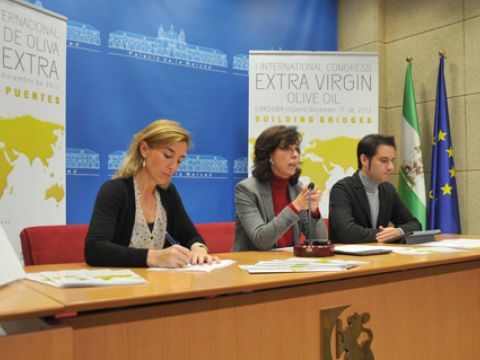 Serrano, Ceballos y Criado durante la presentación del cogreso. (Foto: Cedida)