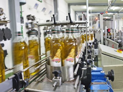 Embotelladora de Almazara de Muela. (Foto: Cedida)