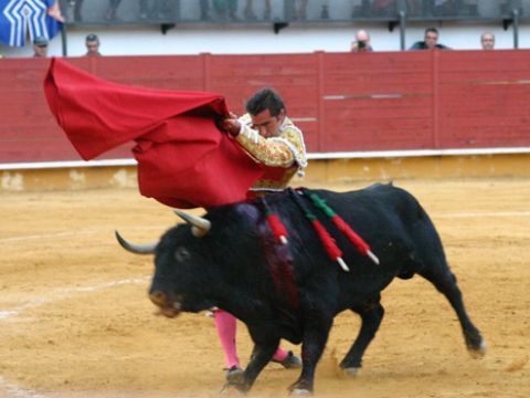 Pase de pecho de Fandi al tercero de la tarde. (Foto: R. Cobo)